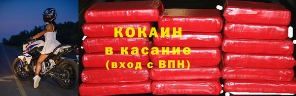 сатива Нягань