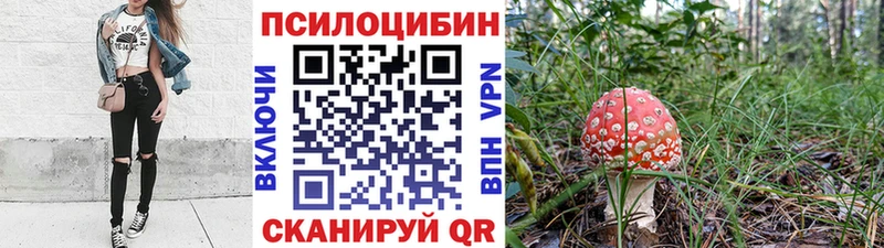 мега tor  маркетплейс состав  Галлюциногенные грибы MAGIC MUSHROOMS  Моршанск 
