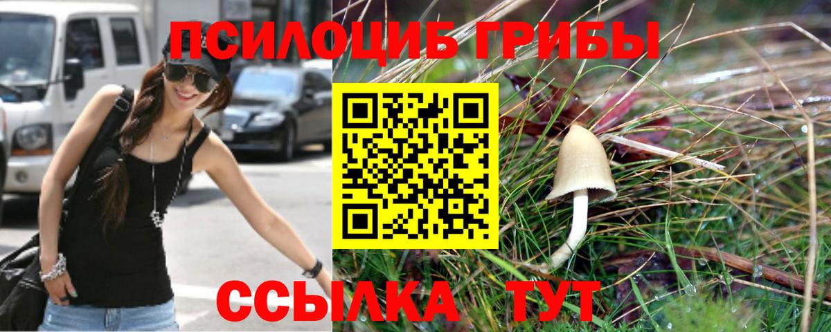 Моршанск  Псилоцибиновые грибы Cubensis  Вход с VPN  Галлюциногенные грибы прущие грибы 